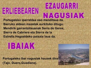 Portugaleko iparraldea oso menditsua da. Barruko aldean mezetak aurkituko ditugu. Mendirik garrantzitsuenak Serra de Geres, Sierra de Cabriera eta Sierra de la  Estrella.Hegoaldeko paisaia laua da. Portugaleko ibai nagusiak hauxek dira: (Tajo, Duero,Guadiana). IBAIAK ERLIEBEAREN EZAUGARRI NAGUSIAK 