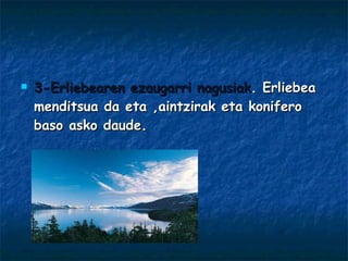 3-Erliebearen ezaugarri nagusiak .   Erliebea menditsua da eta ,aintzirak eta konifero baso asko daude. 