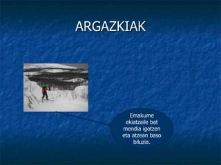 ARGAZKIAK Emakume ekiatzaile bat mendia igotzen eta atzean baso biluzia. 