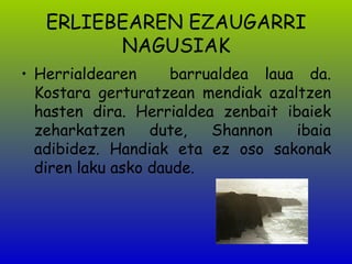ERLIEBEAREN EZAUGARRI NAGUSIAK Herrialdearen  barrualdea laua da. Kostara gerturatzean mendiak azaltzen hasten dira. Herrialdea zenbait ibaiek zeharkatzen dute, Shannon ibaia adibidez. Handiak eta ez oso sakonak diren laku asko daude . 