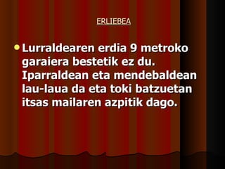 ERLIEBEA Lurraldearen erdia 9 metroko garaiera bestetik ez du. Iparraldean eta mendebaldean lau-laua da eta toki batzuetan itsas mailaren azpitik dago. 