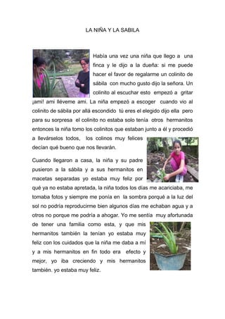 LA NIÑA Y LA SABILA 
Había una vez una niña que llego a una finca y le dijo a la dueña: si me puede hacer el favor de regalarme un colinito de sábila con mucho gusto dijo la señora. Un colinito al escuchar esto empezó a gritar ¡ami! ami lléveme ami. La niña empezó a escoger cuando vio al colinito de sábila por allá escondido tú eres el elegido dijo ella pero para su sorpresa el colinito no estaba solo tenía otros hermanitos entonces la niña tomo los colinitos que estaban junto a él y procedió a llevárselos todos, los colinos muy felices decían qué bueno que nos llevarán. 
Cuando llegaron a casa, la niña y su padre pusieron a la sábila y a sus hermanitos en macetas separadas yo estaba muy feliz por qué ya no estaba apretada, la niña todos los días me acariciaba, me tomaba fotos y siempre me ponía en la sombra porqué a la luz del sol no podría reproducirme bien algunos días me echaban agua y a otros no porque me podría a ahogar. Yo me sentía muy afortunada de tener una familia como esta, y que mis hermanitos también la tenían yo estaba muy feliz con los cuidados que la niña me daba a mí y a mis hermanitos en fin todo era efecto y mejor, yo iba creciendo y mis hermanitos también. yo estaba muy feliz. 
 
