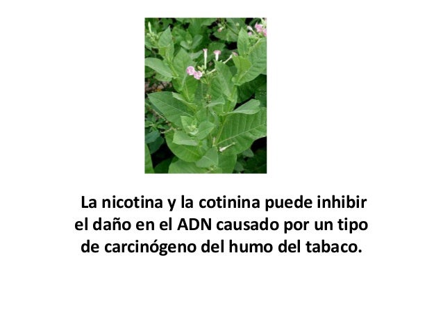 Que son modos para dejar fumar