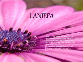 Laniefa là sữa dưỡng thể trắng da được 
bào chế từ những hoạt chất trắng da, 
dưỡng da và giữ ẩm, kết hợp với hương 
nước hoa cho bạn làn da trắng hồng, mịn 
màng sau khi sử dụng 
Cách sử dụng: thoa sữa lên cơ thể ngày 
2 lần sáng và tối sau khi làm sạch cơ 
thể. 
