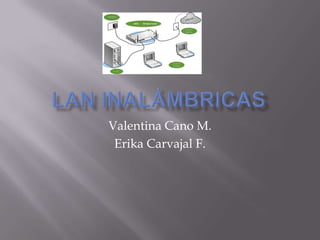 Valentina Cano M.
 Erika Carvajal F.
 