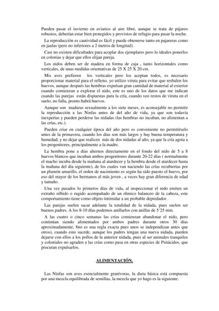 Pueden pasar el invierno en aviarios al aire libre, aunque se trata de pájaros
robustos, deberían estar bien protegidos y provistos de refugio para pasar la noche.
  La reproducción es cautividad es fácil y puede obtenerse tanto en pajareras como
en jaulas (pero no inferiores a 2 metros de longitud).
  Casi no existen dificultades para acoplar dos ejemplares pero lo ideales ponerlos
en colonias y dejar que ellos elijan pareja.
  Los nidos deben ser de madera en forma de caja , tanto horizontales como
verticales, de unas medidas orientativas de 25 X 25 X 20 cm.
  Mis aves prefieren los verticales pero los aceptan todos, es necesario
proporcionar material para el relleno, yo utilizo viruta para evitar que resbalen los
huevos, aunque después las hembras expulsan gran cantidad de material al exterior
cuando comienzan a explorar el nido, este es uno de los datos que me indican
cuando las parejas están dispuestas para la cría, cuando veo restos de viruta en el
suelo, no falla, pronto habrá huevos.
  Aunque son maduras sexualmente a los siete meses, es aconsejable no permitir
la reproducción a las Ninfas antes de del año de vida, ya que son todavía
inexpertas y pueden perderse las nidadas (las hembras no incuban, no alimentan a
las crías, etc.).
  Pueden criar en cualquier época del año pero es conveniente no permitírselo
antes de la primavera, cuando los días son más largos y hay buena temperatura y
humedad, y no dejar que realicen más de dos nidadas al año, ya que la cría agota a
los progenitores, principalmente a la madre.
  La hembra pone a días alternos directamente en el fondo del nido de 5 a 8
huevos blancos que incuban ambos progenitores durante 20-22 días ( normalmente
el macho incuba desde la mañana al atardecer y la hembra desde el atardecer hasta
la mañana del día siguiente), de los cuales van naciendo las crías recubiertas por
un plumón amarillo, el orden de nacimiento es según ha sido puesto el huevo, por
eso del mayor de los hermanos al más joven , a veces hay gran diferencia de edad
y tamaño.
  Una vez pasados lo primeros días de vida, al inspeccionar el nido emiten un
extraño silbido o rugido acompañado de un rítmico balanceo de la cabeza, este
comportamiento tiene como objeto intimidar a un probable depredador.
  Las parejas suelen sacar adelante la totalidad de la nidada, pues suelen ser
buenos padres. A los 8-10 días podemos anillarlos con anillas de 5´25 mm.
  A las cuatro o cinco semanas las crías comienzan abandonar el nido, pero
continúan siendo alimentados por ambos padres durante otros 30 días
aproximadamente, 8no es una regla exacta pues unos se independizan antes que
otros), cuando esto sucede, aunque los padres tengan una nueva nidada, pueden
dejarse con ellos a los pollos de la anterior nidada, pues al ser animales tranquilos
y coloniales no agraden a las crías como pasa en otras especies de Psitácidos, que
procuran expulsarlos.

                               ALIMENTACIÓN.

 Las Ninfas son aves esencialmente granívoras, la dieta básica está compuesta
por una mezcla equilibrada de semillas, la mezcla que yo hago es la siguiente:
 
