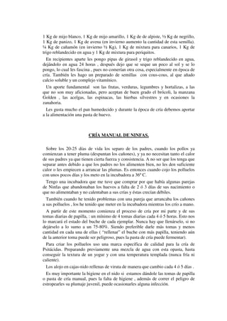 1 Kg de mijo blanco, 1 Kg de mijo amarillo, 1 Kg de de alpiste, ½ Kg de negrillo,
1 Kg de panizo, 1 Kg de avena (en invierno aumento la cantidad de esta semilla).
¼ Kg de cañamón (en invierno ½ Kg), 1 Kg de mixtura para canarios, 1 Kg de
trigo reblandecido en agua y 1 Kg de mixtura para periquitos.
  En recipientes aparte les pongo pipas de girasol y trigo reblandecido en agua,
dejándolo en agua 24 horas , después dejo que se seque un poco al sol y se lo
pongo, lo cual les fascina , pues no comerían otra cosa, especialmente en época de
cría. También les hago un preparado de semillas con cous-cous, al que añado
calcio soluble y un complejo vitamínico.
  Un aporte fundamental son las frutas, verduras, legumbres y hortalizas, a las
que no son muy aficionadas, pero aceptan de buen grado el brócoli, la manzana
Golden , las acelgas, las espinacas, las hierbas silvestres y en ocasiones la
zanahoria.
  Les gusta mucho el pan humedecido y durante la época de cría debemos aportar
a la alimentación una pasta de huevo.



                         CRÍA MANUAL DE NINFAS.

  Sobre los 20-25 días de vida los separo de los padres, cuando los pollos ya
comienzan a tener pluma (despuntan los cañones), y ya no necesitan tanto el calor
de sus padres ya que tienen cierta fuerza y consistencia. A no ser que los tenga que
separar antes debido a que los padres no los alimenten bien, no les den suficiente
calor o les empiecen a arrancar las plumas. Es entonces cuando cojo los polluelos
con unos pocos días y los meto en la incubadora a 36º C.
  Tengo una incubadora que me tuve que comprar por que había algunas parejas
de Ninfas que abandonaban los huevos a falta de 2 ó 3 días de sus nacimiento o
que no alimentaban y no calentaban a sus crías y éstas crecían débiles.
  También cuando he tenido problemas con una pareja que arrancaba los cañones
a sus polluelos , los he tenido que meter en la incubadora mientras los crío a mano.
  A partir de este momento comienza el proceso de cría por mi parte y de sus
tomas diarias de papilla, : un mínimo de 4 tomas diarias cada 4 ó 5 horas. Esto nos
lo marcará el estado del buche de cada ejemplar. Nunca hay que llenárselo, si no
dejárselo a lo sumo a un 75-80%. Siendo preferible darle más tomas y menos
cantidad en cada una de ellas ( “rellenar” el buche con más papilla, teniendo aún
de la anterior toma puede ser peligroso, pues la pasta de cría puede fermentar).
  Para criar los polluelos uso una marca específica de calidad para la cría de
Psitácidas. Preparando previamente una mezcla de agua con esta opasta, hasta
conseguir la textura de un yogur y con una temperatura templada (nunca fría ni
caliente).
  Los alojo en cajas-nido rellenas de viruta de manera que cambio cada 4 ó 5 días .
  Es muy importante la higiene en el nido si estamos dándole las tomas de papilla
o pasta de cría manual, pues la falta de higiene , además de correr el peligro de
estropearles su plumaje juvenil, puede ocasionarles alguna infección.
 