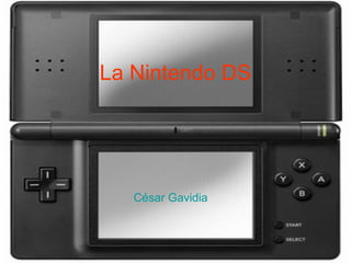 La Nintendo DS




   César Gavidia
 