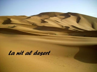 La nit al desert 