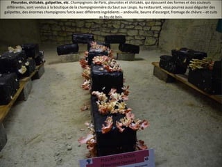 Pleurotes, shiitakés, galipettes, etc. Champignons de Paris, pleurotes et shiitakés, qui épousent des formes et des couleurs
différentes, sont vendus à la boutique de la champignonnière du Saut aux Loups. Au restaurant, vous pourrez aussi déguster des
galipettes, des énormes champignons farcis avec différents ingrédients – andouille, beurre d’escargot, fromage de chèvre – et cuits
au feu de bois.
 