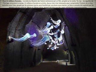 Il y a 11 millions d’années… La visite du Mystère des Faluns commence par un film, projeté sur la roche. Tic, tac… les aiguilles de
l’horloge remontent le temps, 11 millions d'années en arrière. Aucun mot n'est nécessaire pour comprendre l'histoire de ce lieu,
autrefois sous l'eau, peuplé par les animaux marins, puis fossilisé par une dune sous-marine. Le falun a ensuite été exploité par les
paysans-carriers entre le 18ème et 20ème siècle, laissant derrière eux des caves cathédrales impressionnantes.
 