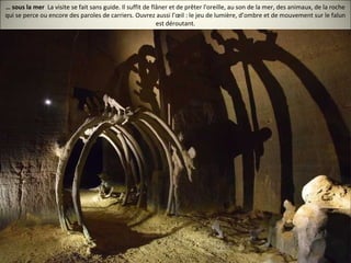 … sous la mer La visite se fait sans guide. Il suffit de flâner et de prêter l'oreille, au son de la mer, des animaux, de la roche
qui se perce ou encore des paroles de carriers. Ouvrez aussi l’œil : le jeu de lumière, d’ombre et de mouvement sur le falun
est déroutant.
 