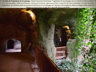 La visite de Troglodytes & Sarcophages Classé monument historique, Troglodytes & Sarcophages est un endroit insolite à visiter.
« Ici, sous vos pieds, 1500 ans d’histoire » est inscrit à l'entrée, signe que le falun n'a pas fini de nous surprendre. En usant de notre
imagination, on s’enfonce dans les anciennes fabriques de sarcophages de l’époque mérovingienne, dans un refuge utilisé contre les
Vikings ou encore dans un abri de la seconde guerre mondiale.
 