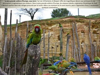 La plus grande volière d’Europe, sous terre Sur ses 14 hectares, le Bioparc offre de magnifiques décors aux animaux et une
atmosphère troglodytique aux visiteurs. Dans la plus grande volière d’Europe, les oiseaux colorés, originaires d’Amérique du Sud,
s’abritent parfois dans des refuges procurés par la roche. Allez-y au moment où ils sont nourris, pour s’approcher d’eux, à seulement
quelques centimètres.
 