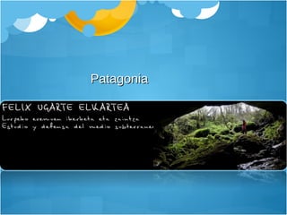 Patagonia  