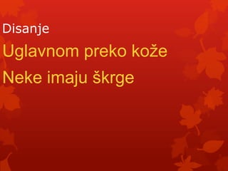 Disanje
Uglavnom preko kože
Neke imaju škrge
 