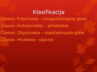 Klasifikacija
Classis: Polychaeta – mnogočekinjaste gliste
Classis: Archiannelida – arhianelide
Classis: Oligochaeta – maločekinjaste gliste
Classis: Hirudinea - pijavice
 