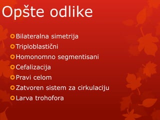 Opšte odlike
 Bilateralna simetrija
 Triploblastični
 Homonomno segmentisani
 Cefalizacija
 Pravi celom
 Zatvoren sistem za cirkulaciju
 Larva trohofora
 