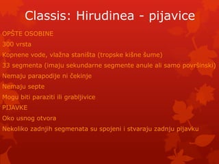 Classis: Hirudinea - pijavice
OPŠTE OSOBINE
300 vrsta
Kopnene vode, vlaţna staništa (tropske kišne šume)
33 segmenta (imaju sekundarne segmente anule ali samo površinski)
Nemaju parapodije ni čekinje
Nemaju septe
Mogu biti paraziti ili grabljivice
PIJAVKE
Oko usnog otvora
Nekoliko zadnjih segmenata su spojeni i stvaraju zadnju pijavku
 
