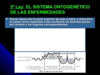 3ª Ley3ª Ley: EL SISTEMA ONTOGENÉTICO: EL SISTEMA ONTOGENÉTICO
DE LAS ENFERMEDADESDE LAS ENFERMEDADES
 Hamer desarrolla la parte superior de este cuadro, y determinaHamer desarrolla la parte superior de este cuadro, y determina
el modo como responden a los conflictos las distintas partesel modo como responden a los conflictos las distintas partes
del cerebro y los órganos correspondientes.del cerebro y los órganos correspondientes.
 