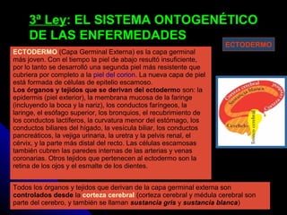3ª Ley3ª Ley: EL SISTEMA ONTOGENÉTICO: EL SISTEMA ONTOGENÉTICO
DE LAS ENFERMEDADESDE LAS ENFERMEDADES
ECTODERMO (Capa Germinal Externa) es la capa germinal
más joven. Con el tiempo la piel de abajo resultó insuficiente,
por lo tanto se desarrolló una segunda piel más resistente que
cubriera por completo a la piel del corion. La nueva capa de piel
está formada de células de epitelio escamoso.
Los órganos y tejidos que se derivan del ectodermo son: la
epidermis (piel exterior), la membrana mucosa de la faringe
(incluyendo la boca y la nariz), los conductos faríngeos, la
laringe, el esófago superior, los bronquios, el recubrimiento de
los conductos lactíferos, la curvatura menor del estómago, los
conductos biliares del hígado, la vesícula biliar, los conductos
pancreáticos, la vejiga urinaria, la uretra y la pelvis renal, el
cérvix, y la parte más distal del recto. Las células escamosas
también cubren las paredes internas de las arterias y venas
coronarias. Otros tejidos que pertenecen al ectodermo son la
retina de los ojos y el esmalte de los dientes.
Todos los órganos y tejidos que derivan de la capa germinal externa son
controlados desde la corteza cerebral (corteza cerebral y médula cerebral son
parte del cerebro, y también se llaman sustancia gris y sustancia blanca)
ECTODERMO
 