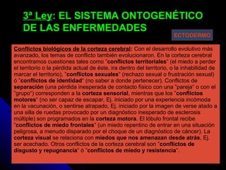 3ª Ley3ª Ley: EL SISTEMA ONTOGENÉTICO: EL SISTEMA ONTOGENÉTICO
DE LAS ENFERMEDADESDE LAS ENFERMEDADES
Conflictos biológicos de la corteza cerebral: Con el desarrollo evolutivo más
avanzado, los temas de conflicto también evolucionaron. En la corteza cerebral
encontramos cuestiones tales como ”conflictos territoriales“ (el miedo a perder
el territorio o la pérdida actual de éste, ira dentro del territorio, o la inhabilidad de
marcar el territorio), ”conflictos sexuales“ (rechazo sexual o frustración sexual)
ó ”conflictos de identidad“ (no saber a donde pertenecer). Conflictos de
separación (una pérdida inesperada de contacto físico con una ”pareja“ o con el
”grupo“) corresponden a la corteza sensorial, mientras que los ”conflictos
motores“ (no ser capaz de escapar, Ej. iniciado por una experiencia incómoda
en la vacunación, o sentirse atrapado, Ej. iniciado por la imagen de verse atado a
una silla de ruedas provocado por un diagnóstico inesperado de esclerosis
múltiple) son programados en la corteza motora. El lóbulo frontal recibe
”conflictos de miedo frontales“ (un miedo repentino de entrar en una situación
peligrosa, a menudo disparado por el choque de un diagnóstico de cáncer). La
corteza visual se relaciona con miedos que nos amenazan desde atrás, Ej.
ser acechado. Otros conflictos de la corteza cerebral son ”conflictos de
disgusto y repugnancia“ ó ”conflictos de miedo y resistencia“.
ECTODERMO
 