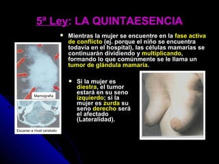 5ª Ley5ª Ley: LA QUINTAESENCIA: LA QUINTAESENCIA
 Si la mujer es
diestra, el tumor
estará en su seno
izquierdo; si la
mujer es zurda su
seno derecho será
el afectado
(Lateralidad).
Mamografia
Escaner a nivel cerebelo
 Mientras la mujer se encuentre en la fase activa
de conflicto (ej. porque el niño se encuentra
todavía en el hospital), las células mamarias se
continuarán dividiendo y multiplicando,
formando lo que comúnmente se le llama un
tumor de glándula mamaria.
 