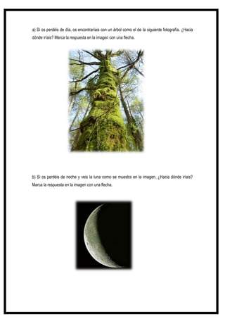 138
a) Si os perdéis de día, os encontraríais con un árbol como el de la siguiente fotografía. ¿Hacia
dónde iríais? Marca la respuesta en la imagen con una flecha.
b) Si os perdéis de noche y veis la luna como se muestra en la imagen, ¿Hacia dónde iríais?
Marca la respuesta en la imagen con una flecha.
 