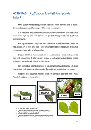 30
ACTIVIDAD 1.3.:¿Conoces los distintos tipos de
hojas?
Mattin y Jaione han decidido que van a ir al bosque a ver los diferentes tipos de árboles.
El bosque de su pueblo está formado por robles, hayas, encinas y pinos.
A la entrada del bosque se han encontrado con una encina milenaria de 5 majestuosas
ramas. Tiene hojas de color verde oscuro y un par de bellotas por cada una. Sus bordes
terminan en punta.
Han seguido adelante y el siguiente árbol que han visto ha sido un roble de 7 ramas. Las
hojas de éste son de color verde claro y tiene la misma cantidad de bellotas que la encina. Sus
bordes no son puntiagudos, sino bastante lisos.
Después del roble se han encontrado con un pequeño pino de 4 ramas, sus hojas son de
color verde y tienen forma de alfiler, es decir, terminan en punta y pinchan. Además este árbol da
un fruto muy curioso llamado estróbilo de color marrón.
Han terminado el recorrido delante de un gran ejemplar de haya de 6 ramas. Ésta posee
hojas de color verde pistacho y no tiene bellotas. Sus bordes son bastante lisos y no pinchan.
Responde a las siguientes preguntas dando por hecho que cada rama tiene 5 hojas.
Resuélvelo mediante un diagrama Venn.
a. ¿Cuántas hojas hay en total?
b. ¿Cuántas son verdes oscuras y tienen pinchos?
c. ¿Cuántas tienen solo bellotas?
d. ¿Cuántas tienen pincho, bellota y son verde oscuro?
ENCINA
AA HAYA
PINO
PINO
 