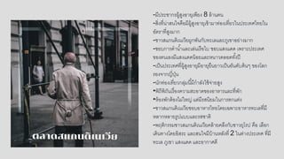 -มีประชากรผู้สูงอายุเพียง 8 ล้านคน
-สิ่งที่น่าสนใจคือมีผู้สูงอายุเข้ามาท่องเที่ยวในประเทศไทยใน
อัตราที่สูงมาก
-ชาวสแกนดิเนเวียผูกพันกับทะเลและภูเขาอย่างมาก
-ชอบการดาน้าและเล่นเรือใบ ชอบแสงแดด เพราะประเทศ
ของตนเองมีแสงแดดน้อยและหนาวตลอดทั้งปี
-เป็นประเทศที่ผู้สูงอายุมีอายุยืนยาวเป็นอันดับต้นๆ ของโลก
รองจากญี่ปุ่น
-นักท่องเที่ยวกลุ่มนี้มีกาลังใช้จ่ายสูง
•พิถีพิถันเรื่องความสะอาดของอาหารและที่พัก
•ห้องพักต้องไม่ใหญ่ แต่มีรสนิยมในการตกแต่ง
-ชาวสแกนดิเนเวียชอบอาหารไทยโดยเฉพาะอาหารทะเลที่มี
หลากหลายรูปแบบและรสชาติ
-พฤติกรรมชาวสแกนดิเนเวียคล้ายคลึงกับชาวยุโรป คือ เลือก
เดินทางโดยอิสระ และสนใจมีบ้านหลังที่ 2 ในต่างประเทศ ที่มี
ทะเล ภูเขา แสงแดด และอากาศดี
 