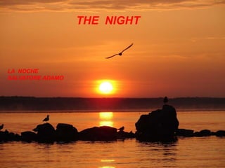 THE  NIGHT LA  NOCHE SALVATORE ADAMO 
