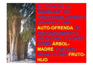 EL “DON DE LA
MANZANA” (EL
“FRUTO DEL ÁRBOL”)
SIGNIFICA UNA
AUTO-OFRENDA, EL
RECONOCIMIENTO
DE RACHEL COOPER
COMO ÁRBOL-
MADRE Y DE UNO
MISMO COMO FRUTO-
HIJO.
 