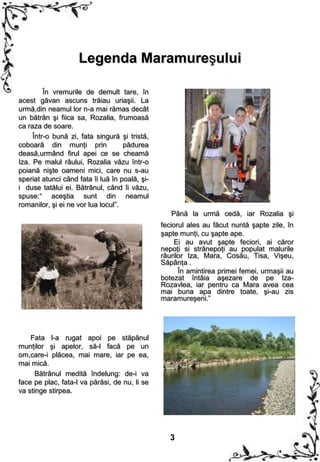 Legenda Maramureşului

         În vremurile de demult tare, în
acest găvan ascuns trăiau uriaşii. La
urmă,din neamul lor n-a mai rămas decât
un bătrân şi fiica sa, Rozalia, frumoasă
ca raza de soare.
     Într-o bună zi, fata singură şi tristă,
coboară din munţi prin              pădurea
deasă,urmând firul apei ce se cheamă
Iza. Pe malul râului, Rozalia văzu într-o
poiană nişte oameni mici, care nu s-au
speriat atunci când fata îi luă în poală, şi-
i duse tatălui ei. Bătrânul, când îi văzu,
spuse:“ aceştia sunt din neamul
romanilor, şi ei ne vor lua locul”.
                                                   Până la urmă cedă, iar Rozalia şi
                                                feciorul ales au făcut nuntă şapte zile, în
                                                şapte munţi, cu şapte ape.
                                                    Ei au avut şapte feciori, ai căror
                                                nepoţi si strănepoţi au populat malurile
                                                râurilor Iza, Mara, Cosău, Tisa, Vişeu,
                                                Săpânţa .
                                                      În amintirea primei femei, urmaşii au
                                                botezat întâia aşezare de pe Iza-
                                                Rozavlea, iar pentru ca Mara avea cea
                                                mai buna apa dintre toate, şi-au zis
                                                maramureşeni.”




    Fata l-a rugat apoi pe stăpânul
munţilor şi apelor, să-l facă pe un
om,care-i plăcea, mai mare, iar pe ea,
mai mică.
      Bătrânul medită îndelung: de-i va
face pe plac, fata-l va părăsi, de nu, li se
va stinge stirpea.




                                                   3
 