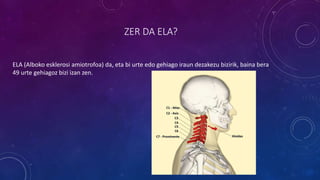 ZER DA ELA?
ELA (Alboko esklerosi amiotrofoa) da, eta bi urte edo gehiago iraun dezakezu bizirik, baina bera
49 urte gehiagoz bizi izan zen.
 