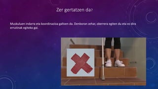 Zer gertatzen da?
Muskuluen indarra eta koordinazioa galtzen da. Denboran zehar, okerrera egiten du eta ez dira
errutinak egiteko gai.
 