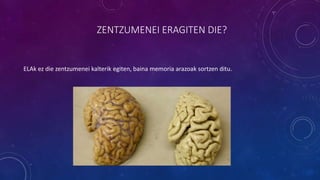 ZENTZUMENEI ERAGITEN DIE?
ELAk ez die zentzumenei kalterik egiten, baina memoria arazoak sortzen ditu.
 