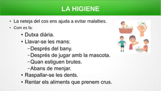 LA HIGIENE
● La neteja del cos ens ajuda a evitar malalties.
● Com es fa:
● Dutxa diària.
● Llavar-se les mans:
– Després del bany.
– Després de jugar amb la mascota.
– Quan estiguen brutes.
– Abans de menjar.
● Raspallar-se les dents.
● Rentar els aliments que prenem crus.
 