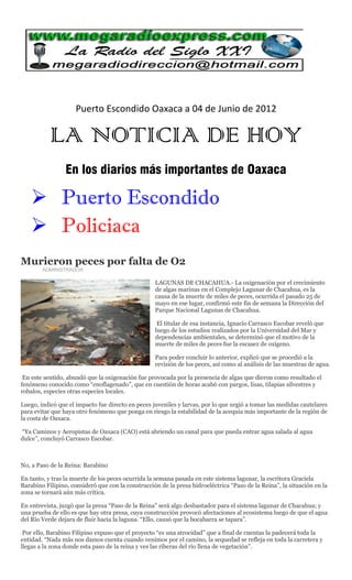 Puerto Escondido Oaxaca a 04 de Junio de 2012

           LA NOTICIA DE HOY
                 En los diarios más importantes de Oaxaca

    Puerto Escondido
    Policiaca
Murieron peces por falta de O2
        ADMINISTRADOR

                                                   LAGUNAS DE CHACAHUA.- La oxigenación por el crecimiento
                                                   de algas marinas en el Complejo Lagunar de Chacahua, es la
                                                   causa de la muerte de miles de peces, ocurrida el pasado 25 de
                                                   mayo en ese lugar, confirmó este fin de semana la Dirección del
                                                   Parque Nacional Lagunas de Chacahua.

                                                    El titular de esa instancia, Ignacio Carrasco Escobar reveló que
                                                   luego de los estudios realizados por la Universidad del Mar y
                                                   dependencias ambientales, se determinó que el motivo de la
                                                   muerte de miles de peces fue la escasez de oxígeno.

                                                   Para poder concluir lo anterior, explicó que se procedió a la
                                                   revisión de los peces, así como al análisis de las muestras de agua.

 En este sentido, abundó que la oxigenación fue provocada por la presencia de algas que dieron como resultado el
fenómeno conocido como “enoflagenado”, que en cuestión de horas acabó con pargos, lisas, tilapias silvestres y
robalos, especies otras especies locales.

Luego, indicó que el impacto fue directo en peces juveniles y larvas, por lo que urgió a tomar las medidas cautelares
para evitar que haya otro fenómeno que ponga en riesgo la estabilidad de la acequia más importante de la región de
la costa de Oaxaca.

“Ya Caminos y Aeropistas de Oaxaca (CAO) está abriendo un canal para que pueda entrar agua salada al agua
dulce”, concluyó Carrasco Escobar.



No, a Paso de la Reina: Barabino

En tanto, y tras la muerte de los peces ocurrida la semana pasada en este sistema lagunar, la escritora Graciela
Barabino Filipino, consideró que con la construcción de la presa hidroeléctrica “Paso de la Reina”, la situación en la
zona se tornará aún más crítica.

En entrevista, juzgó que la presa “Paso de la Reina” será algo desbastador para el sistema lagunar de Chacahua; y
una prueba de ello es que hay otra presa, cuya construcción provocó afectaciones al ecosistema luego de que el agua
del Río Verde dejara de fluir hacia la laguna. “Ello, causó que la bocabarra se tapara”.

 Por ello, Barabino Filipino expuso que el proyecto “es una atrocidad” que a final de cuentas la padecerá toda la
entidad. “Nada más nos damos cuenta cuando venimos por el camino, la sequedad se refleja en toda la carretera y
llegas a la zona donde esta paso de la reina y ves las riberas del río llena de vegetación”.
 