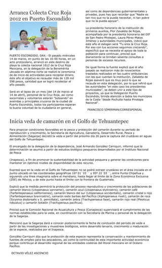 Arranca Colecta Cruz Roja                                así como de dependencias gubernamentales y
                                                         privadas, pues hay que recordar que "Nadie es
2012 en Puerto Escondido                                 tan rico que no la pueda necesitar, ni tan pobre
                                                         que no la pueda apoyar".

                                                         La presidenta honorario de la institución de
                                                         primeros auxilios, Flor Zavaleta de Rojas,
                                                         acompañada por la presidenta honoraria del DIF
                                                         de San Pedro Mixtepec, Laura Pérez-Matos
                                                         Jiménez y autoridades municipales, indicó que
                                                         este año el eslogan será "Tu eres la Cruz Roja.
                                                         Por eso con tus acciones seguimos creciendo",
                                                         especificó que se necesita el apoyo de toda la
                                                         población para continuar, precisó que
PUERTO ESCONDIDO, OAX.- El pasado miércoles
                                                         diariamente se brindan sesenta consultas a
14 de marzo, en punto de las 16:00 horas, en un
                                                         personas de escasos recursos.
acto protocolario, arrancó en este destino de
playa la colecta nacional 1012 de la Cruz Roja
                                                         De igual forma la fuente explicó que el año
Mexicana, en la delegación de la Benemérita
                                                         pasado se realizaron más de novecientos
ubicada en séptima norte se realizó la ceremonia
                                                         traslados realizados en las cuatro ambulancias
de de inicio de actividades para recopilar dinero,
                                                         con las que cuentan la institución, Zabaleta de
éste año el objetivo es recaudar más de 128 mil
598 pesos, cantidad que se logró recolectar el           Rojas aseveró que es muy poco lo que se
año pasado.                                              recauda en esta delegación, por lo que refirió que
                                                         las autoridades "en este caso los presidentes
                                                         municipales", se deben unir a este tipo de
Será en el lapso de un mes (del 14 de marzo al
                                                         proyectos, ya que la Delegación Puerto
14 de abril), personal de la Cruz Roja, así como
                                                         Escondido, brinda atención a todos los municipios
socorristas y voluntarios estarán "boteando" en
                                                         de la Costa "desde Pochutla hasta Pinotepa
avenidas y principales cruceros de la ciudad de
                                                         Nacional".
Puerto Escondido, todos los participantes esperan
la buena voluntad de la ciudadanía en general,
                                                           FRANCISCO SÍMERMAN/CORRESPONSAL



Inicia veda de camarón en el Golfo de Tehuantepec
Para propiciar condiciones favorables en la pesca y protección del camarón durante su período de
reproducción y crecimiento, la Secretaría de Agricultura, Ganadería, Desarrollo Rural, Pesca y
Alimentación (Sagarpa) decretó la veda a partir del próximo día 26 para la captura del crustáceo en aguas
del Golfo de Tehuantepec.

El encargado de la delegación de la dependencia, José Armando González Carriquiri, informó que la
determinación se asumió a partir de estudios biológico pesqueros desarrollados por el Instituto Nacional
de Pesca

(Inapesca), a fin de promover la sustentabilidad de la actividad pesquera y generar las condiciones para
mantener en óptimos niveles de disponibilidad de este recurso.

Expresó que en la veda en el Golfo de Tehuantepec no se podrá extraer crustáceo en el área iniciada en el
punto ubicado en las coordenadas geográficas 16º 01´10´´ y 95º 22´03´´, entre Punta Chipehua y
siguiendo una línea imaginaria sobre el meridiano, hasta llegar al límite de la Zona Económica Exclusiva
(ZEE) de México, y de este punto hasta el límite con la frontera de Guatemala.

Explicó que la medida permitirá la protección del proceso reproductivo y crecimiento de las poblaciones de
camarón blanco (Litopenaeus vannamei), camarón azul (Litopenaeus stylirostris), camarón café
(Farfantepenaeus californiensis), camarón blanco del sur (Litopenaeus occidentalis), camarón cristal o rojo
(Farfantepenaeus brevirostris), camarón siete barbas del Pacífico (Xiphopenaeus riveti), camarón de roca
(Sicyonia disdorsalis y S. penicillata), camarón zebra (Trachypenaeus faoe), camarón rojo real (Pleoticus
robustus) y camarón botalón (Trachypenaus pacificus).

Precisó que la Comisión Nacional de Acuacultura y Pesca (Conapesca) supervisará el cumplimiento de las
normas establecidas para la veda, en coordinación con la Secretaría de Marina y personal de la delegación
de la Sagarpa.

Mencionó que la Sagarpa dará a conocer posteriormente la fecha de conclusión del período de veda a
partir de las investigaciones y muestreos biológicos, entre desarrollo larvario, crecimiento y maduración
de la especie, realizados por el Inapesca.

González Carriquiri dijo que la protección de esta especie representa la conservación y mantenimiento de
fuentes de empleo para los pescadores, así como la continuidad de esta importante actividad económica
porque contribuye al desarrollo regional de las entidades costeras del litoral mexicano en el Océano
Pacífico.

 OCTAVIO VÉLEZ ASCENCIO
 