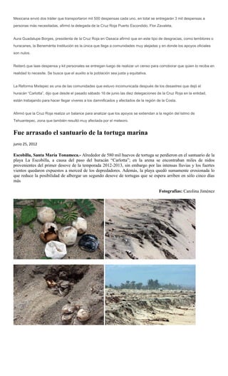 Mexicana envió dos tráiler que transportaron mil 500 despensas cada uno, en total se entregarán 3 mil despensas a
personas más necesitadas, afirmó la delegada de la Cruz Roja Puerto Escondido, Flor Zavaleta.


Aura Guadalupe Borges, presidenta de la Cruz Roja en Oaxaca afirmó que en este tipo de desgracias, como temblores o
huracanes, la Benemérita Institución es la única que llega a comunidades muy alejadas y en donde los apoyos oficiales
son nulos.


Reiteró que laas despensa y kit personales se entregan luego de realizar un censo para corroborar que quien lo reciba en
realidad lo necesite. Se busca que el auxilio a la población sea justa y equitativa.


La Reforma Mixtepec es una de las comunidades que estuvo incomunicada después de los desastres que dejó el
huracán “Carlotta”, dijo que desde el pasado sábado 16 de junio las diez delegaciones de la Cruz Roja en la entidad,
están trabajando para hacer llegar víveres a los damnificados y afectados de la región de la Costa.


Afirmó que la Cruz Roja realiza un balance para analizar que los apoyos se extiendan a la región del Istmo de
Tehuantepec, zona que también resultó muy afectada por el meteoro.


Fue arrasado el santuario de la tortuga marina
junio 25, 2012

Escobilla, Santa María Tonameca.- Alrededor de 580 mil huevos de tortuga se perdieron en el santuario de la
playa La Escobilla, a causa del paso del huracán “Carlotta”; en la arena se encontraban miles de nidos
provenientes del primer desove de la temporada 2012-2013, sin embargo por las intensas lluvias y los fuertes
vientos quedaron expuestos a merced de los depredadores. Además, la playa quedó sumamente erosionada lo
que reduce la posibilidad de albergar un segundo desove de tortugas que se espera arriben en sólo cinco días
más

                                                                                        Fotografías: Carolina Jiménez
 