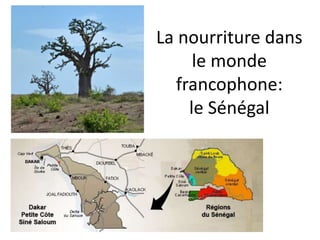La nourriture dans
le monde
francophone:
le Sénégal
 