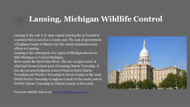 pest control lansing mi inspections lansing michigan wildlife control pest removal service pest control lansing mi inspections lansing michigan wildlife control pest removal service