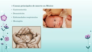  Causas principales de muerte en México
• Gastroenteritis
• Desnutrición
• Enfermedades respiratorios
• Meningitis
 