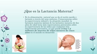 ¿Que es la Lactancia Materna?
• Es la alimentación natural que se da al recién nacido y
lactante a través del seno materno. Consecuencias sobre
la supervivencia infantil y la situación mundial ,la
lactancia materna óptima de los lactantes menores de dos
años de edad tiene más repercusiones potenciales sobre
la supervivencia de los niños que cualquier otra
intervención preventiva, ya que puede evitar 1,4
millones de muertes de niños menores de cinco
años en el mundo en desarrollo
 