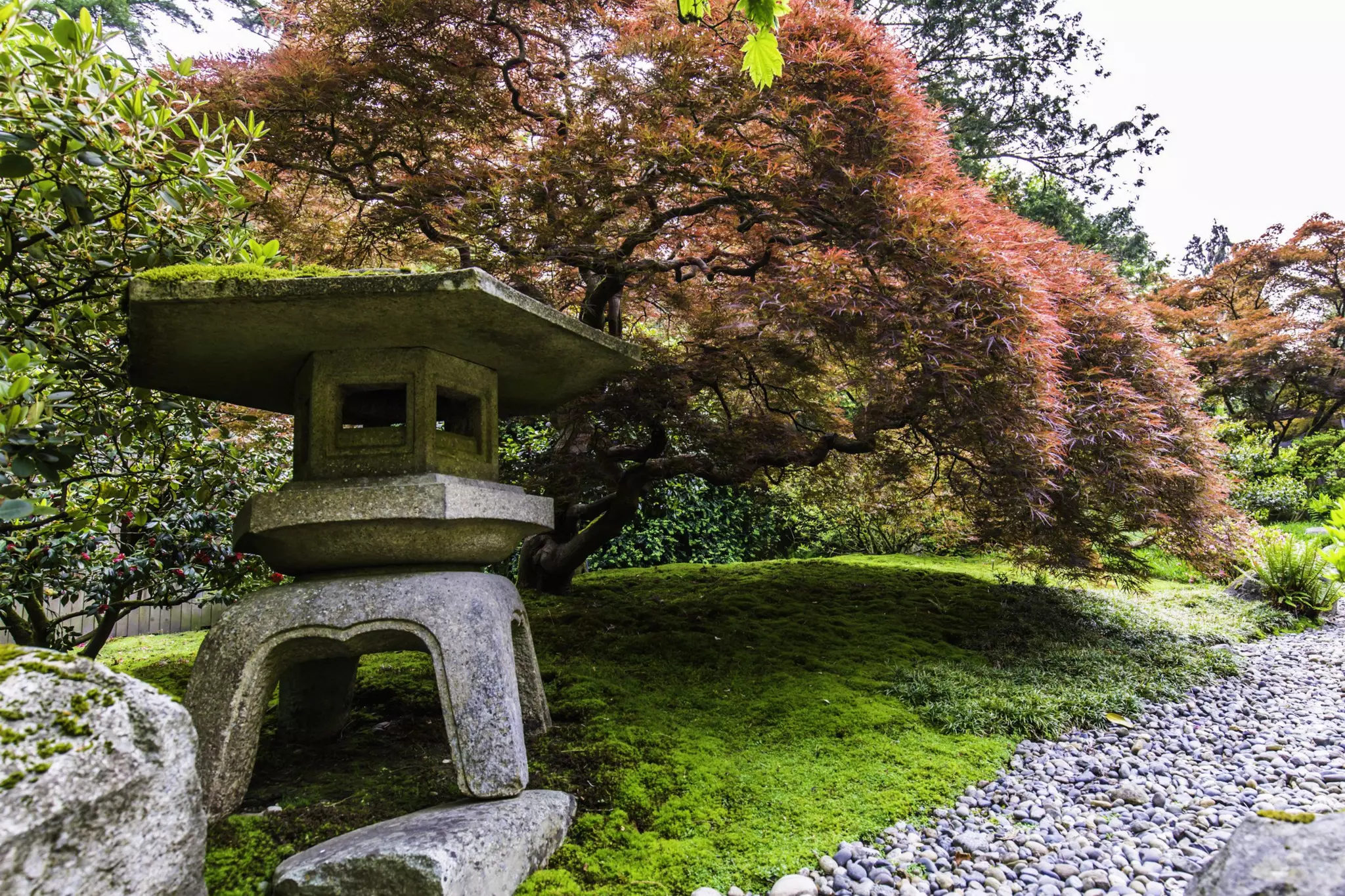 Lanterne Japonaise Jardin