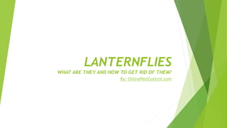 LANTERNFLIES
WHAT ARE THEY AND HOW TO GET RID OF THEM?
By: OnlinePestControl.com
 