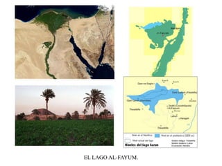 EL LAGO AL-FAYUM.
 