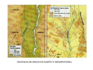 SISTEMAS DE RIEGO EN EGIPTO Y MESOPOTAMIA.
 