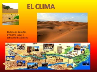 EL CLIMAEl clima ésdesèrtic, d’hivernssuaus  i estiusmolt calorosos.