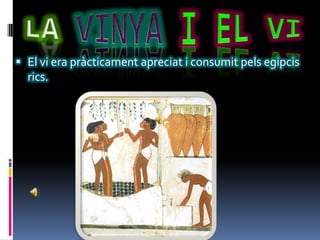 LAVINYAI EL VIEl vi era pràcticament apreciat i consumit pels egipcis rics.